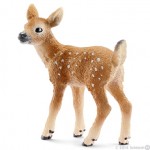 Forest Creatures Forest Creatures